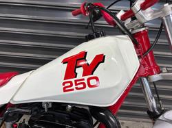 1985 YAMAHA TY250