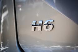 2025 GWM
H6