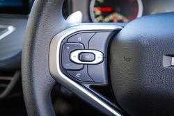 2025 GWM
                HAVAL Jolion 