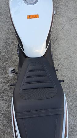 2024 HARLEY-DAVIDSON HD350-10 H-DX X350 White