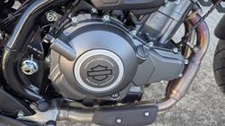 2024 HARLEY-DAVIDSON HD350-10 H-DX X350 White