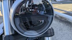 2024 HARLEY-DAVIDSON HD350-10 H-DX X350 White