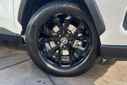 2022 Toyota RAV4 Cruiser