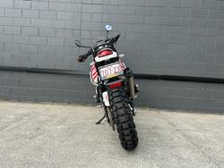 2023 DUCATI DESERTX RALLY WHITE