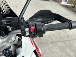 2023 DUCATI DESERTX RALLY WHITE