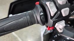 2025 Triumph TIGER 900 RALLY PRO Black