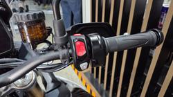 2025 Triumph TIGER 900 RALLY PRO Black
