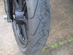 2021 HARLEY-DAVIDSON XG500 STREET 500 BLACK