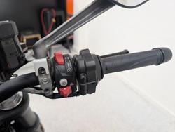 2022 DUCATI MONSTER grey