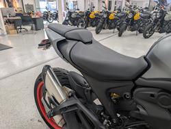 2022 DUCATI MONSTER grey