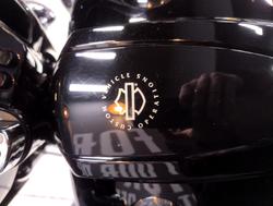 2010 Harley-Davidson CVO Street Glide 110 (FLHXSE) CVO Black