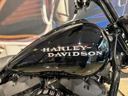 2021 Harley-Davidson Softail Standard 107 (FXST) Softail Black