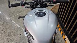 2025 BMW Motorrad M 1000 R WHITE