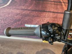 2025 Royal Enfield Bear 650 650 Twin White