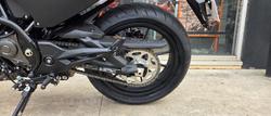 2024 Harley-Davidson X 350 X Orange