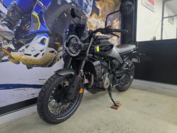 2025 HUSQVARNA SVARTPILEN 401 Grey