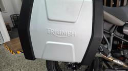 2020 Triumph TIGER 1200 XCa Beige