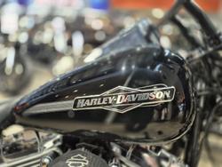 2010 Harley-Davidson Softail Standard 1584 EFI (FXSTI) Softail Black