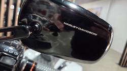 2024 Harley-Davidson FLHX STREET GLIDE (117) WHITE