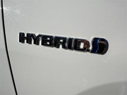 2020 Toyota RAV4 Cruiser