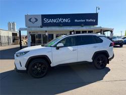 2020 Toyota RAV4 Cruiser