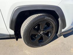 2020 Toyota RAV4 Cruiser