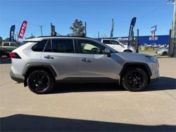 2019 Toyota RAV4 Cruiser