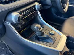 2019 Toyota RAV4 Cruiser