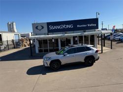 2019 Toyota RAV4 Cruiser
