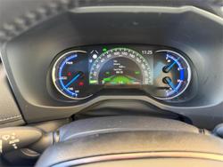 2019 Toyota RAV4 Cruiser