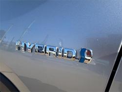 2019 Toyota RAV4 Cruiser