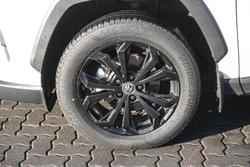 2023 Toyota RAV4 Cruiser