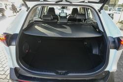 2023 Toyota RAV4 Cruiser