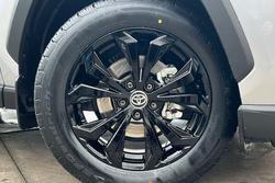 2025 Toyota RAV4 Cruiser