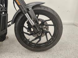 2021 Harley-davidson FLSB SPORT GLIDE grey