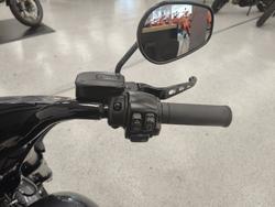 2021 Harley-davidson FLSB SPORT GLIDE grey