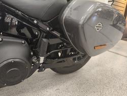 2021 Harley-davidson FLSB SPORT GLIDE grey