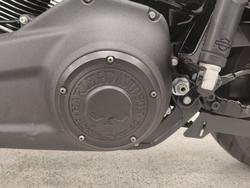 2021 Harley-davidson FLSB SPORT GLIDE grey