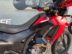 2019 Honda CRF250 RALLY Red