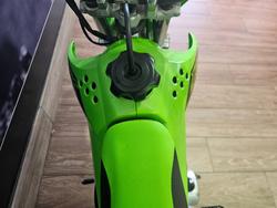 2022 Kawasaki KLX110RL GREEN