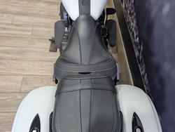 2019 INDIAN SPRINGFIELD DARK HORSE WHITE WHITE