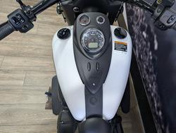 2019 INDIAN SPRINGFIELD DARK HORSE WHITE WHITE