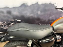 2021 Kawasaki W800 STREET (EJ800) GREY