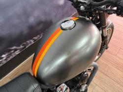 2021 Kawasaki W800 STREET (EJ800) GREY