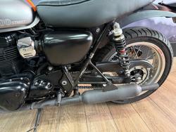 2021 Kawasaki W800 STREET (EJ800) GREY