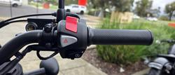 2025 Honda CMX500 S ABS CMX Black