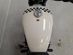 2026 Royal Enfield BEAR 650 WHITE 249
