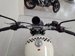 2026 Royal Enfield BEAR 650 WHITE 249