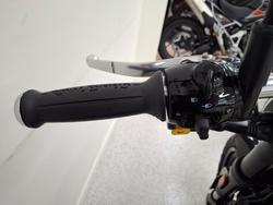 2026 Royal Enfield BEAR 650 WHITE 249