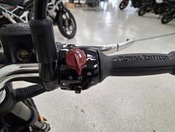2026 Royal Enfield BEAR 650 WHITE 249